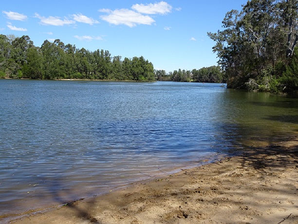 Water, Nature, Outdoors, Tree, Beach, River