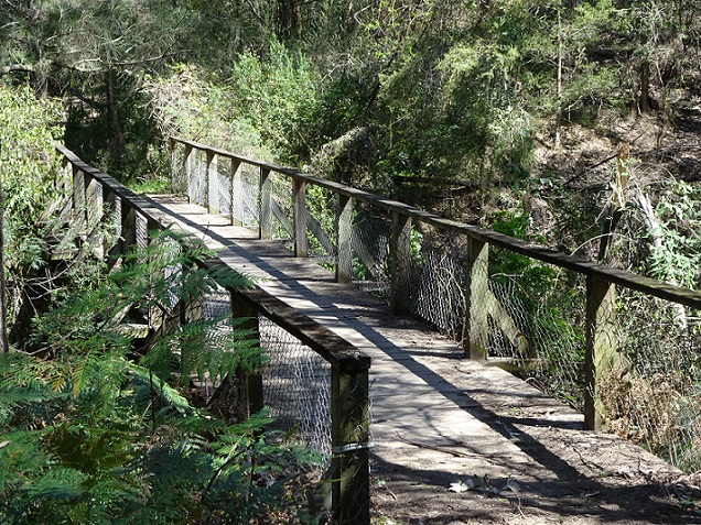 Bridge, Boardwalk, Outdoors, Path, Trail, Garden, Plant