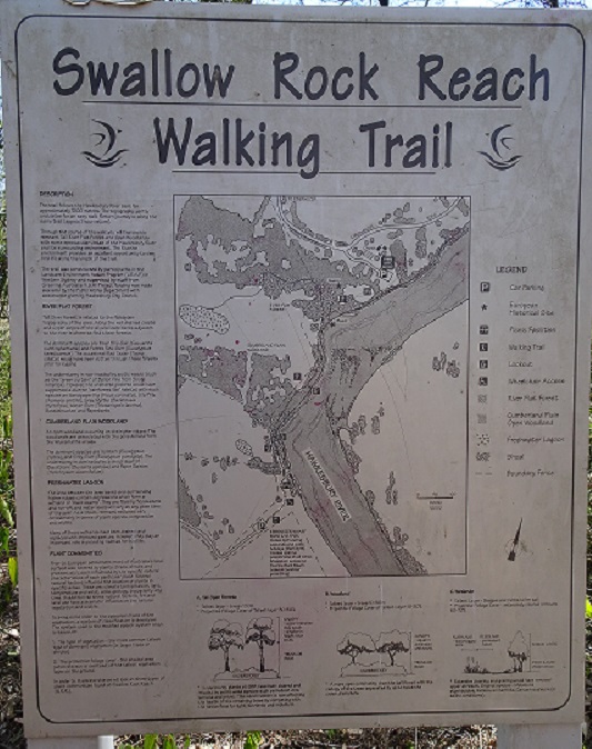 Diagram, Vegetation, Plan, Map