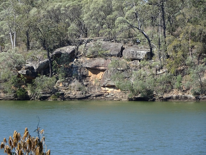 River, Outdoors, Nature, Water, Vegetation, Rock, Bush