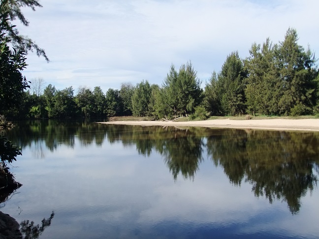 Water, Tree, Plant, Nature, Fir, Outdoors, Land, Lake, Conifer, Vegetation