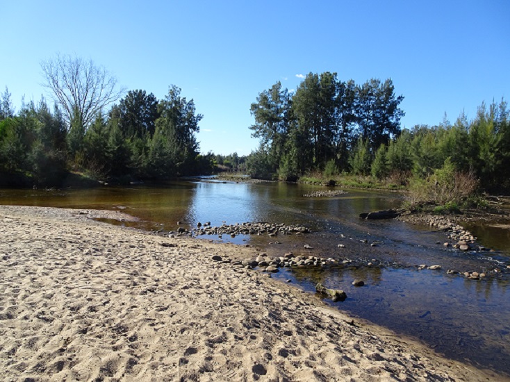 Water, Nature, Outdoors, Shoreline, Land, River, Tree, Plant, Wilderness, Vegetation