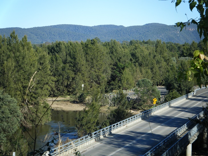 Road, Freeway, Plant, Tree, Highway, Fir, Slope, Outdoors, Conifer, Vegetation